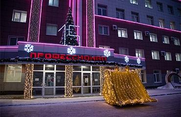 «Профессионал» поздравляет с наступающим Новым годом!