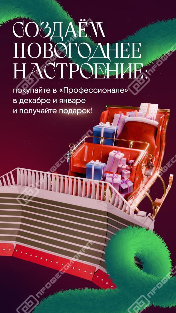 «Профессионал» дарит подарки за покупку весь декабрь и январь!