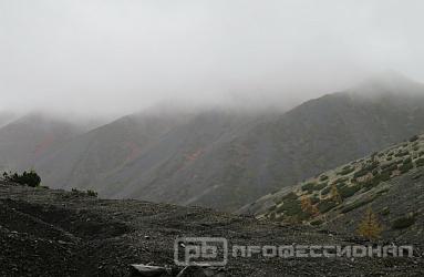 Качество, проверенное временем
