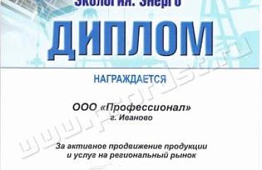 Компания «Профессионал» приняла участие в выставке «Нефть. Газ. Экология. Энерго-2013»