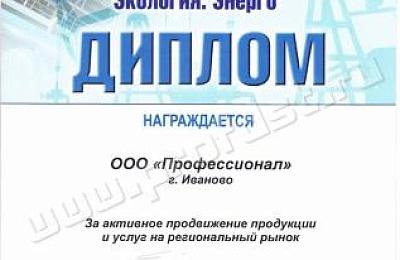 Компания «Профессионал» приняла участие в выставке «Нефть. Газ. Экология. Энерго-2013»