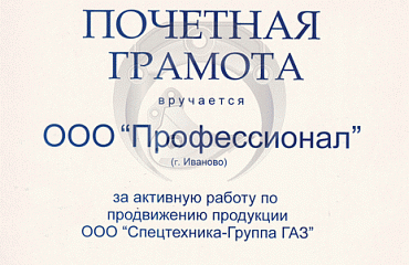 Компания Профессионал по итогам работы за 2009 год удостоена почетной грамоты за высокие показатели продаж и сервисного обслуживания техники Группы ГАЗ.