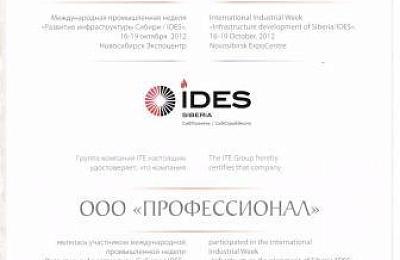 Компания "Профессионал" приняла участие в международной промышленной выставке "Развитие инфраструктуры Сибири/ IDES", проходившей в Новосибирске с 16 по 19 октября